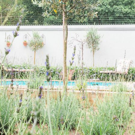 פארל Olive Tree Lodge מראה חיצוני תמונה