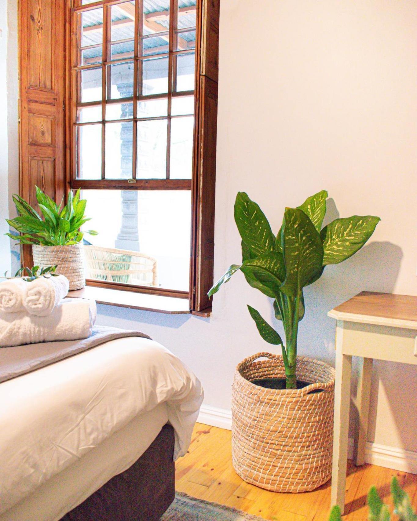 פארל Olive Tree Lodge מראה חיצוני תמונה
